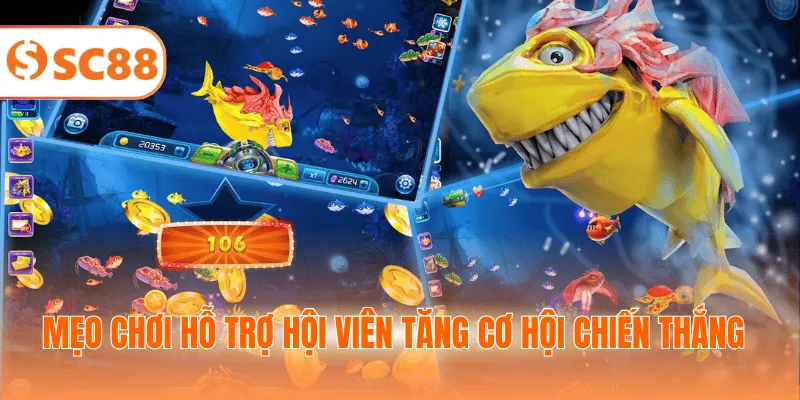 Mẹo chơi hỗ trợ hội viên tăng cơ hội chiến thắng