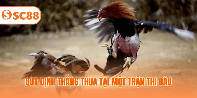 Quy định thắng thua tại một trận thi đấu